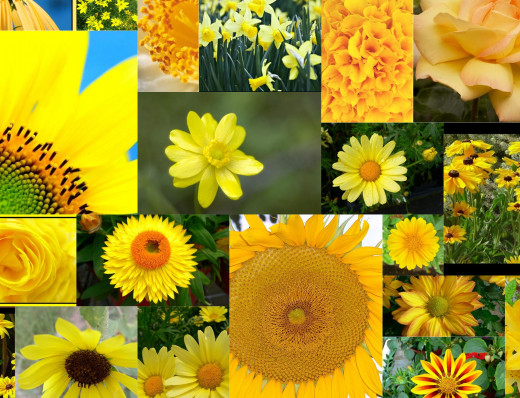 434899 (a): :2400x1835